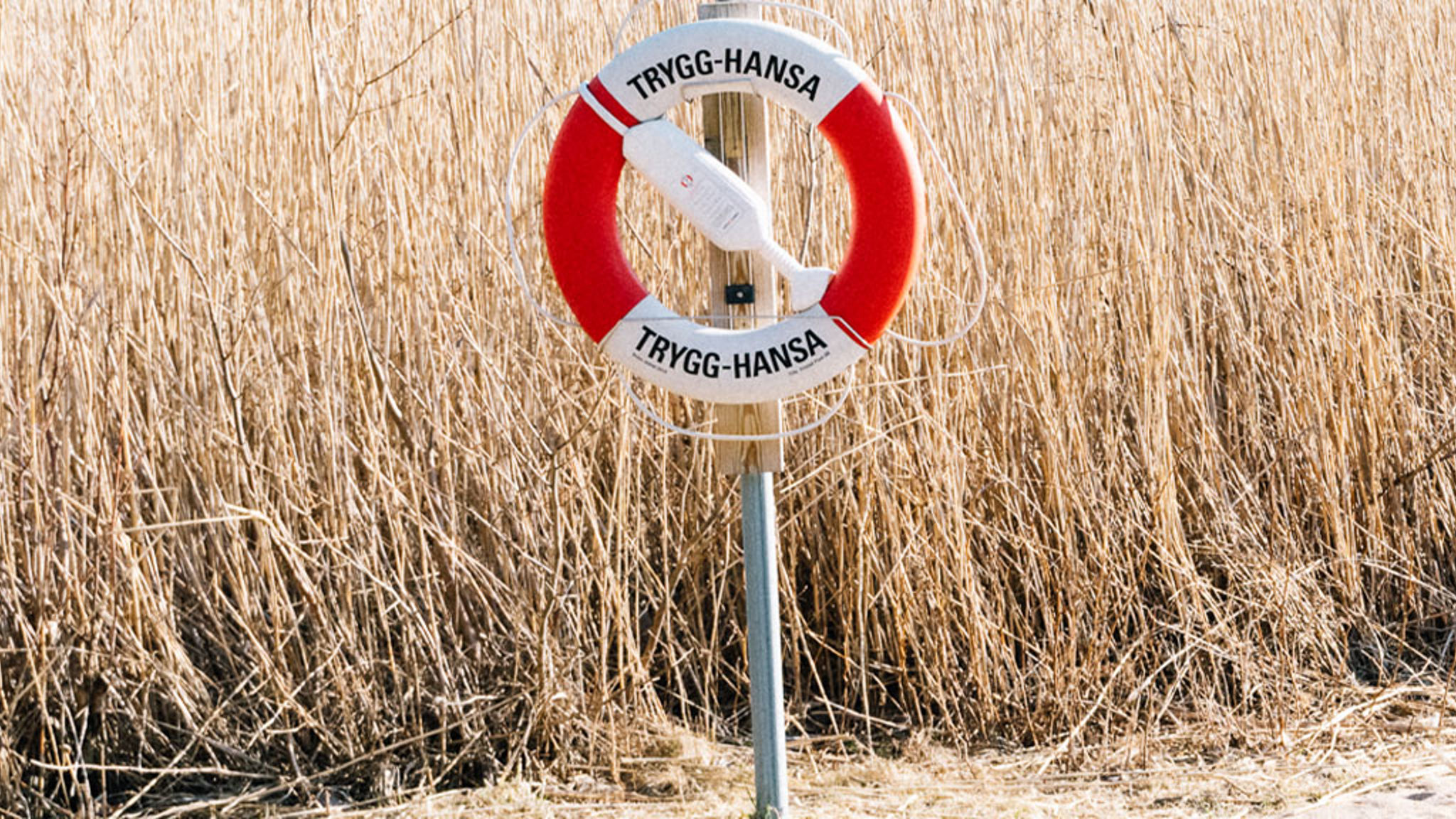 Stelfrusen hjälte i vinternatten